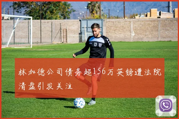 林加德公司债务超156万英镑遭法院清盘引发关注