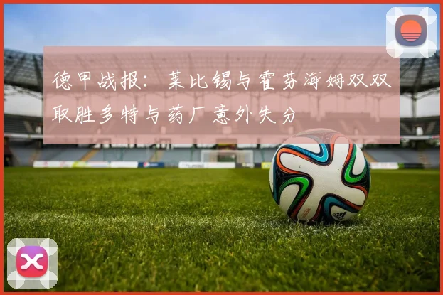 德甲战报：莱比锡与霍芬海姆双双取胜多特与药厂意外失分