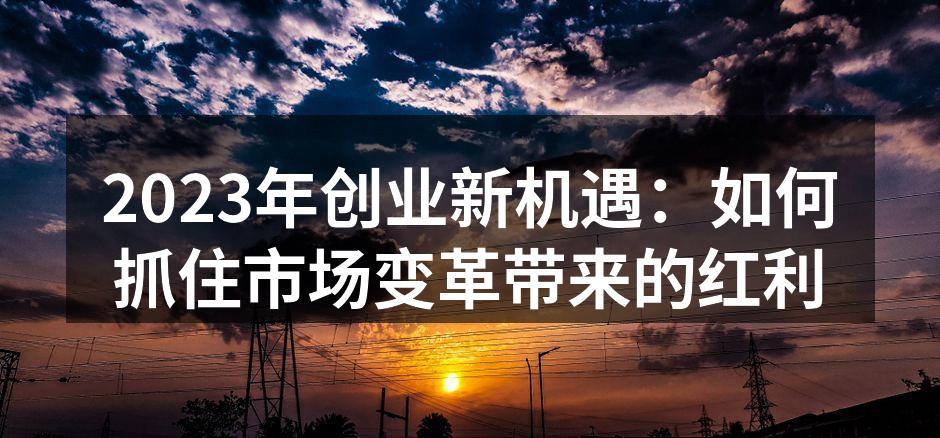 2023年创业新机遇：如何抓住市场变革带来的红利