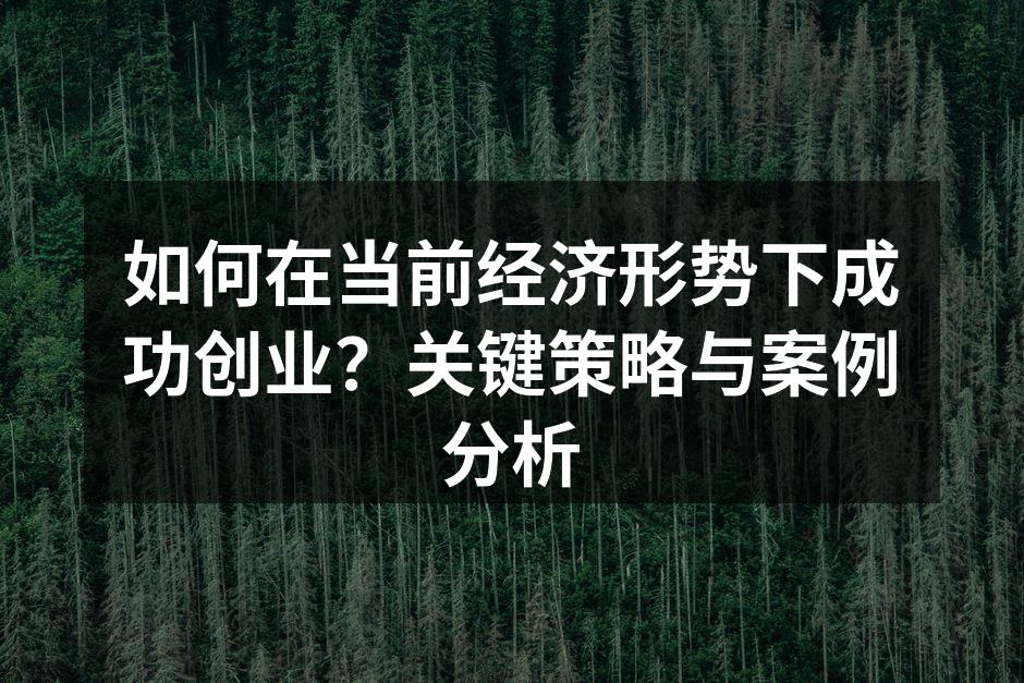 如何在当前经济形势下成功创业？关键策略与案例分析